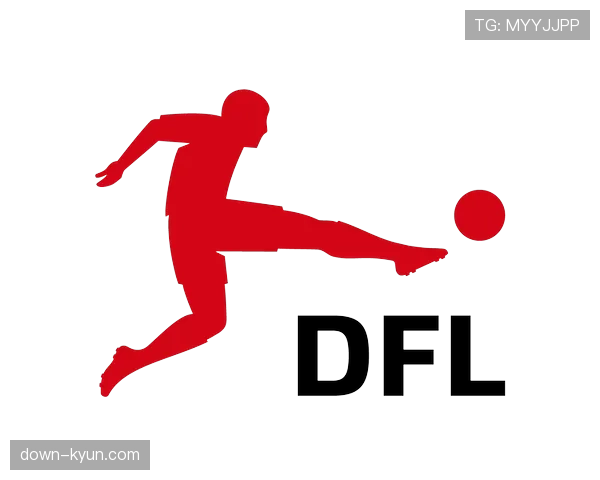 德国足协重申赛场安全规定,将加强对投掷物品行为的处罚力度